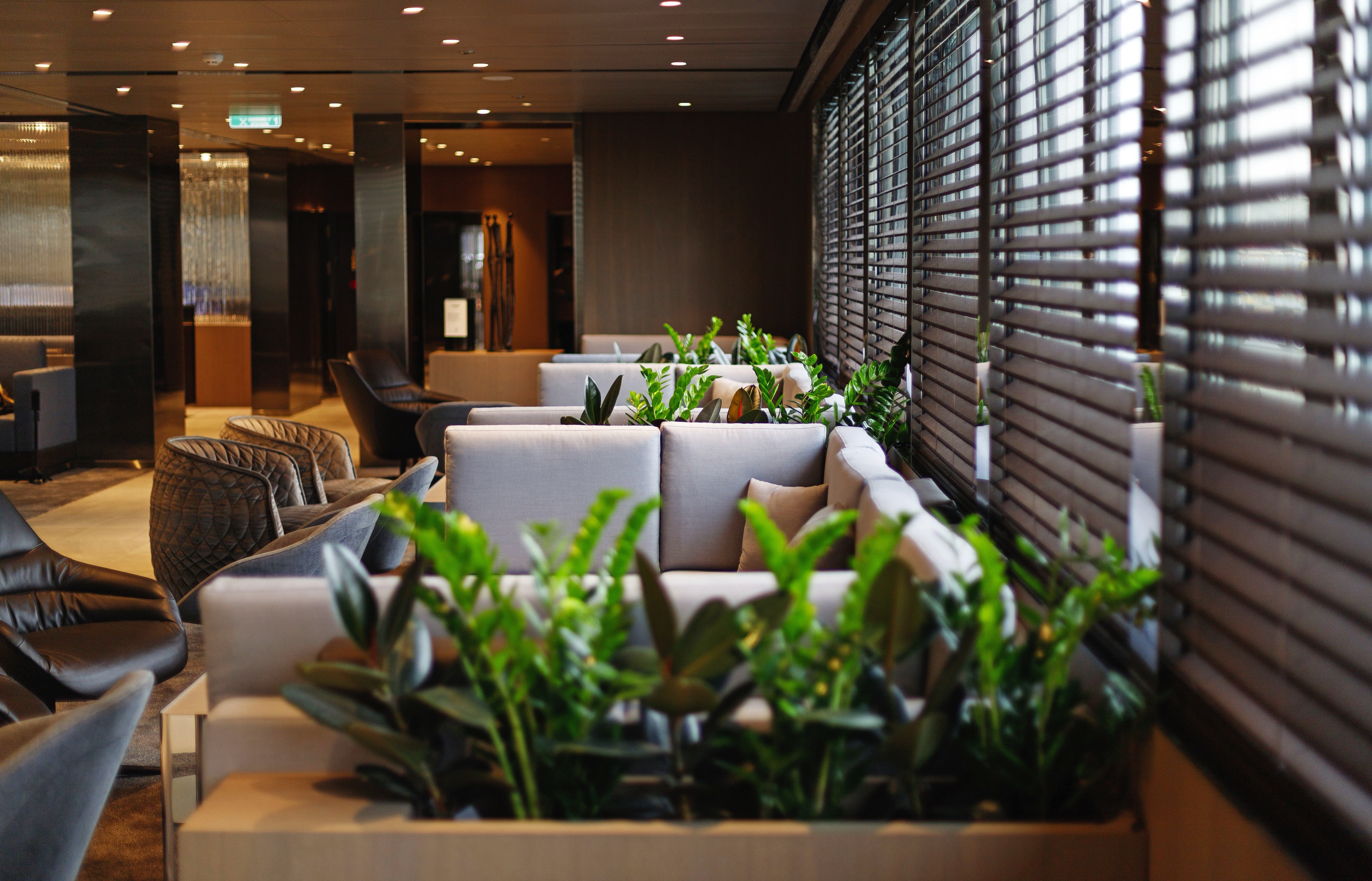 Emerald Sakara - Amici Bar & Lounge